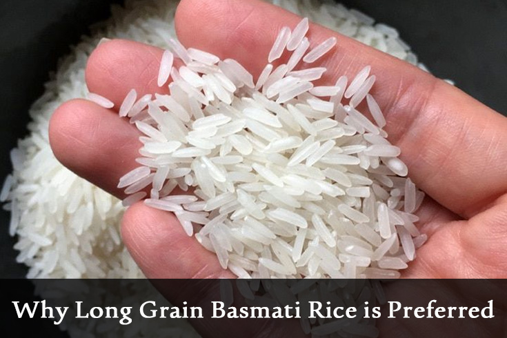 Hand holding long grain basmati rice showing grain length, texture, and quality