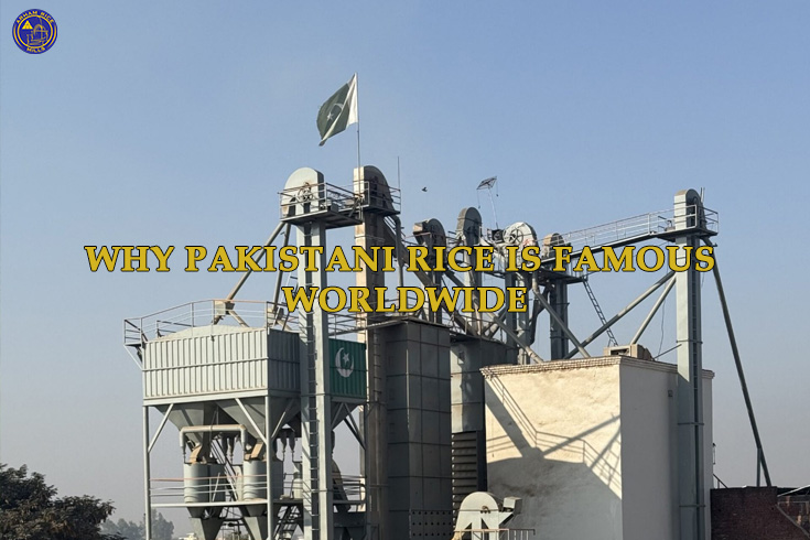 Rice processing plant with machinery and Pakistani flag, representing rice production and global export industry