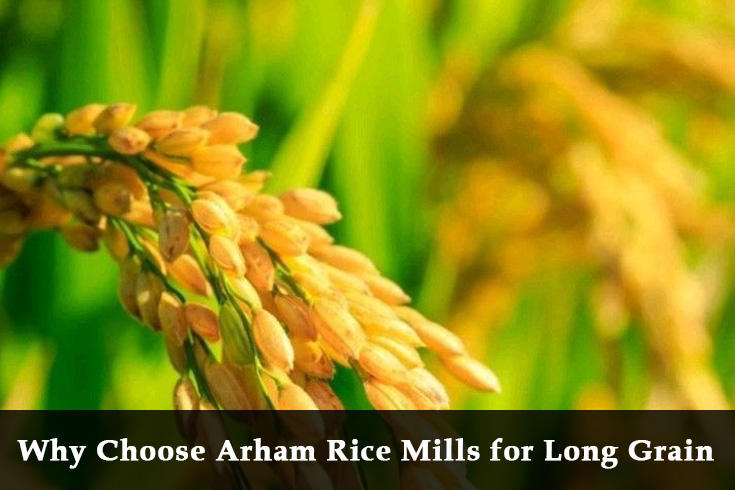 arham rice mill long grain basmati rice paddy field premium rice production