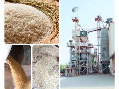 Basmati rice production process showing raw paddy, polished rice grains, rice pouring from machine, and modern rice milling plant.